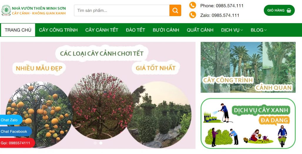 Công ty cho thuê cây cảnh chơi Tết Thiên Minh Sơn