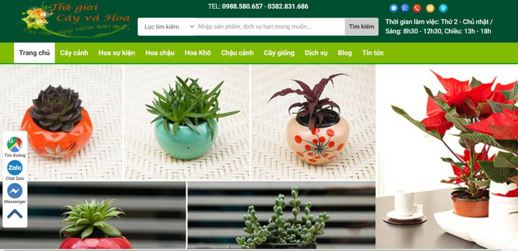 Top 7 công ty cho thuê đào chơi Tết uy tín tại Hà Nội 14 công ty cho thuê cây đào chơi Tết Thế giới cây và hoa