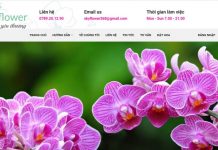 Top 10 shop bán hoa tươi uy tín nhất tại TPHCM 2022