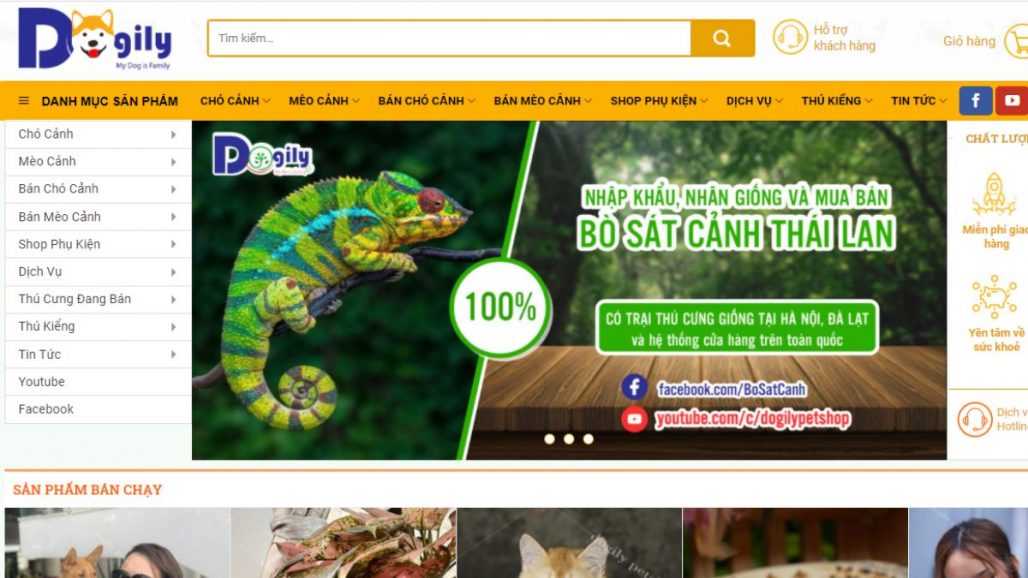 Top 10 shop bán đồ thú cưng online uy tín tại Việt Nam
