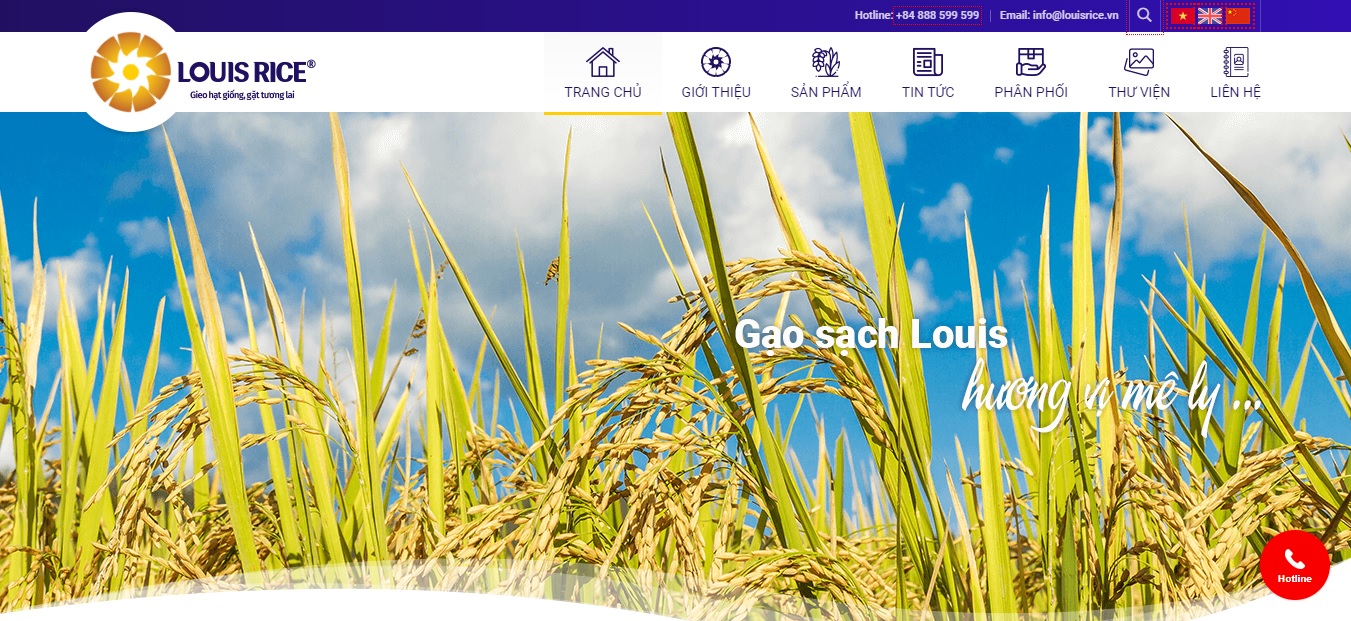 Công ty xuất khẩu gạo - Tập đoàn XNK gạo Louis RICE