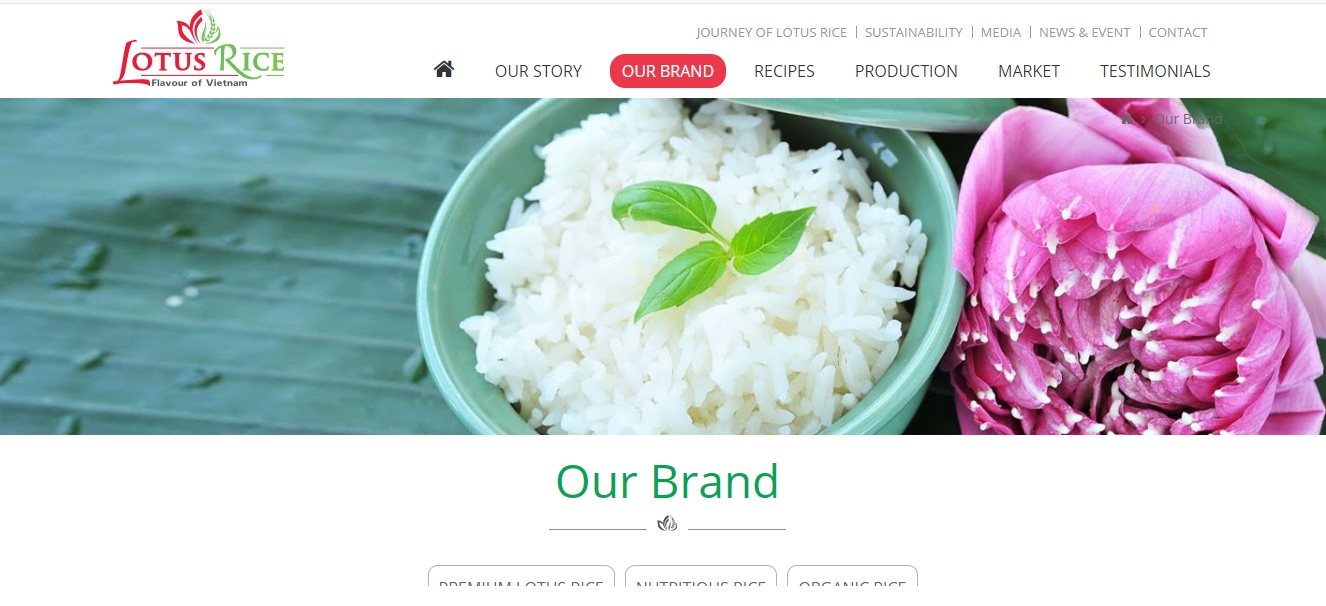 Công ty xuất khẩu gạo Đại Dương Xanh LOTUS Rice