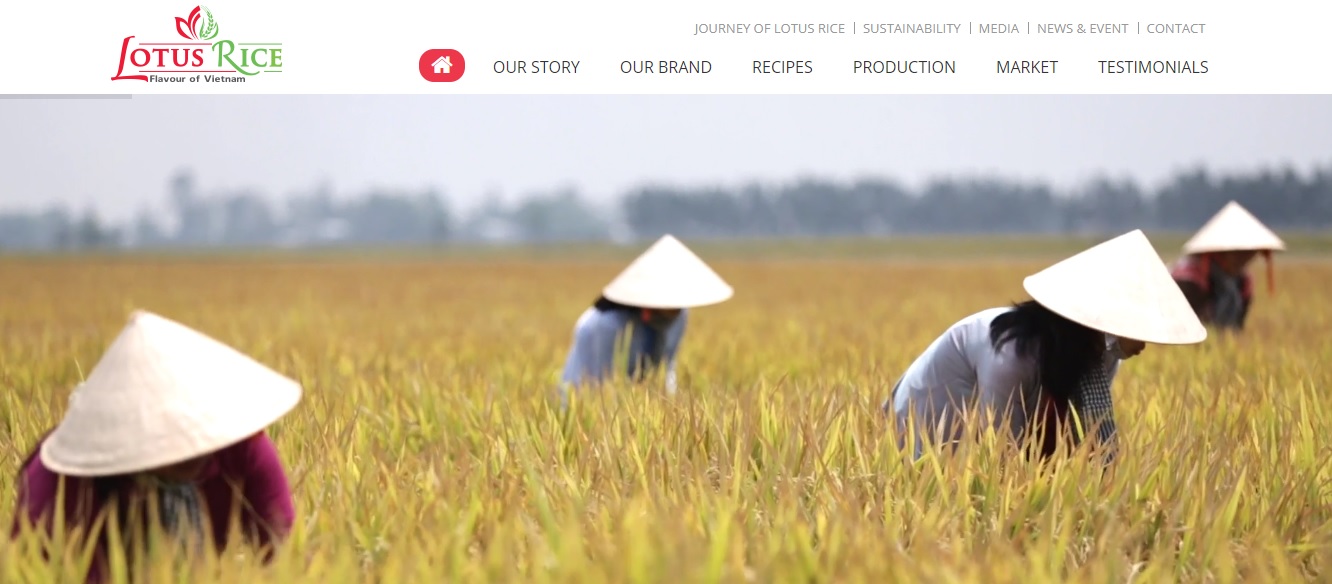 Công ty xuất khẩu gạo Đại Dương Xanh - Lotus Rice 