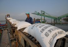 Công ty xuất khẩu gạo uy tín tại Cần thơ
