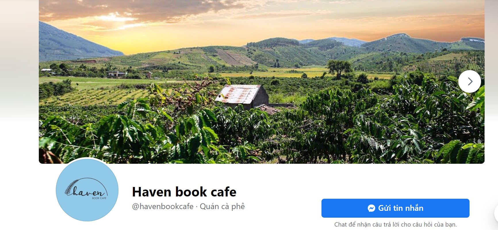 Haven book cafe